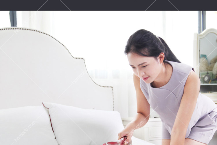 莱克(lexy)除螨仪小型手持床铺除螨机家用吸尘器vc-b502-3