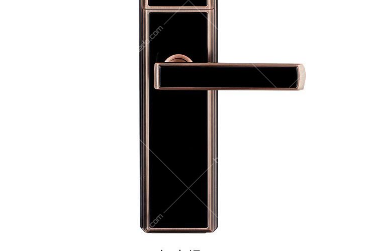 铁狮东尼(tieshidongni)ts700a 指纹锁智能锁 家用b级锁芯 支持刷卡