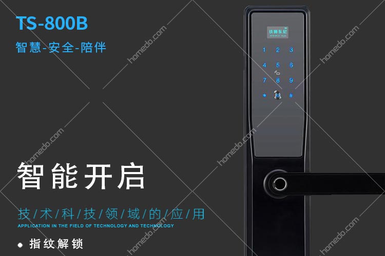 铁狮东尼 ts-800b 指纹锁智能锁 密码ic卡钥匙微信 标准版 黑色