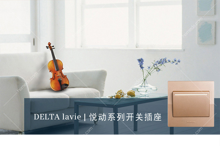 SIEMENS西门子悦动lavie系列10A五孔插座带开香槟金 商品情景