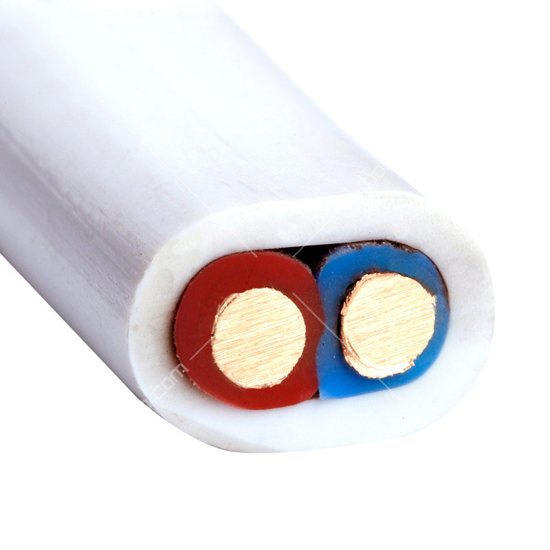 晨光chenguang bvvb2×4 白色 护套线 100米国标硬线 明线