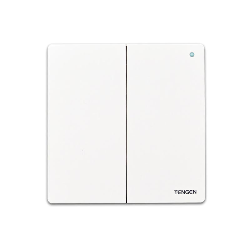 天正电气(TENGEN)V5-K21 <em style='color:red'>二位</em><em style='color:red'>单控开关</em> 333011100004图片