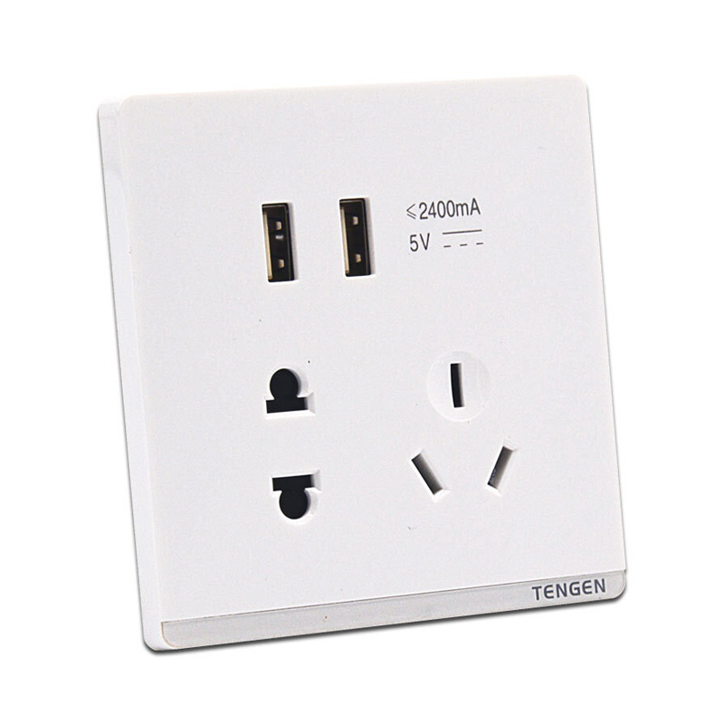 天正电气 TS-2USB23 二位USB带<em style='color:red'>单相二三极插座</em> 13010740041图片