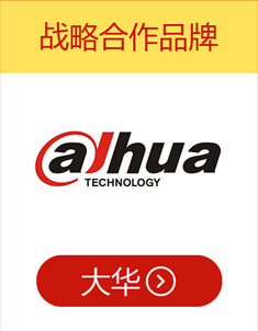 大华