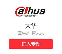 大华