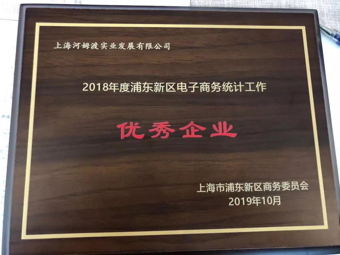 河姆渡荣获“2018~2019年度上海市电子商务示范企业”奖项