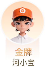 金牌河小宝