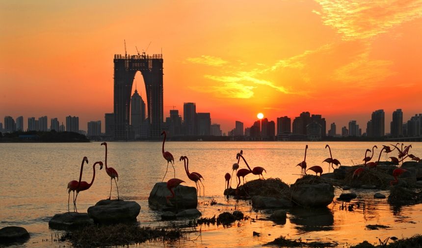 兰州宏建建业集团从中国建材企业500强挺进200强