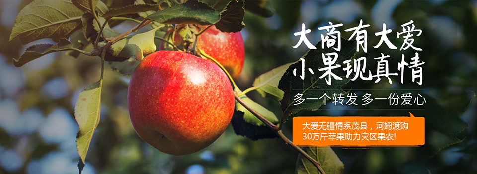 这是一篇关于苹果的故事，绝不是因为乔布斯，而是……写给有爱的我们