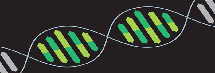 如何选择家用路由器 家用路由器排行榜