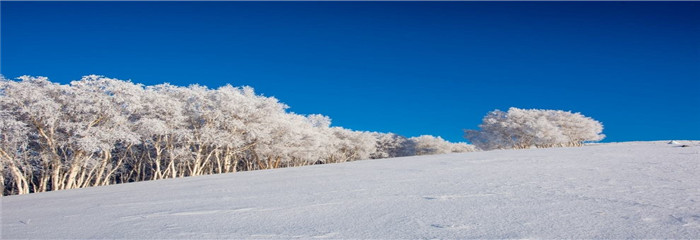 一夜变雪城，鬼知道他们昨天半夜经历了什么!!