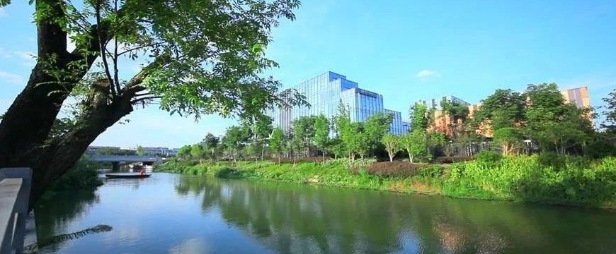昔日臭水沟如今为何清澈见底？探寻“智慧河道”的神奇魔力 